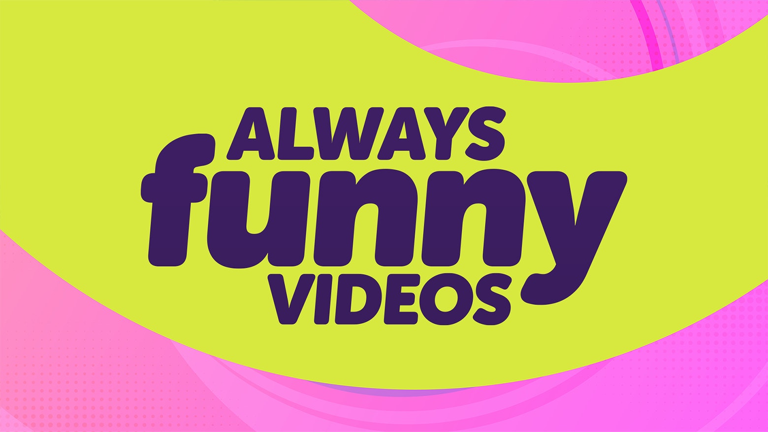 Funny Videos